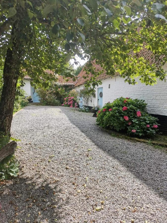 Le Clos De La Rose Gite Bien Etre Wirwignes Extérieur photo