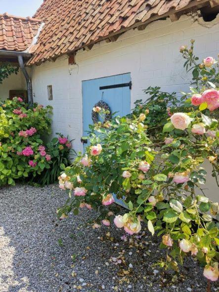 Le Clos De La Rose Gite Bien Etre Wirwignes Extérieur photo