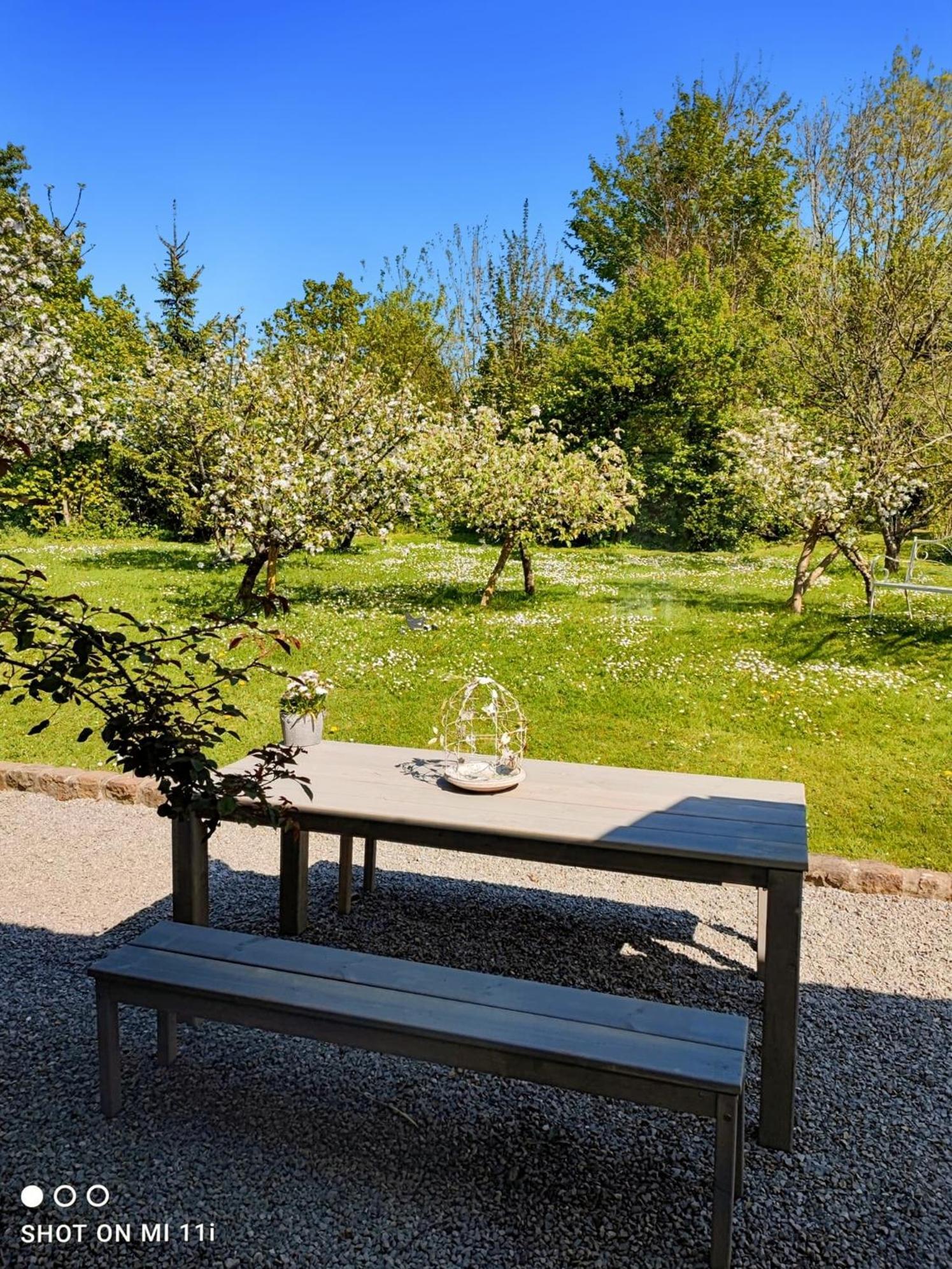 Le Clos De La Rose Gite Bien Etre Wirwignes Extérieur photo